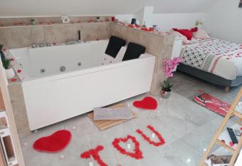 Studio Jacuzzi au centre Colmar allows 18 year olds to book a room