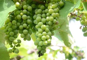 Susana Just Boutique Hotel allows 18 year olds to book a room