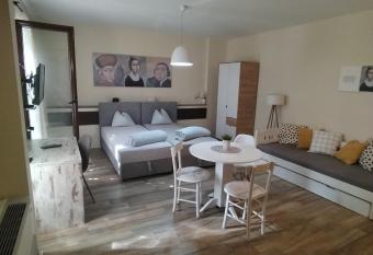 Centar Novi Sad-Studio No. 2 has Balcony rooms