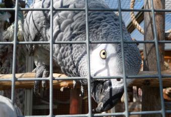 Ferienwohnung Frau Holle allows 18 year olds to book a room