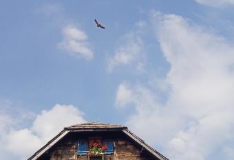 Planinski dom  has Balcony rooms