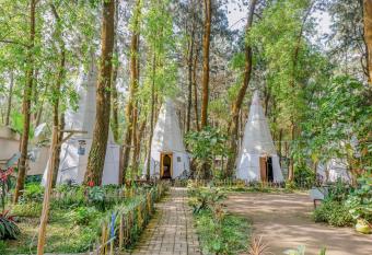 RedDoorz @ Apache Camp allows 18 year olds to book a room