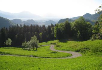 Vaznik Farm House Apartments has Balcony rooms