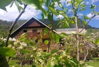 Apartments Arh has Balcony rooms