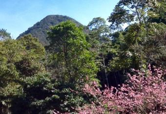Sun Guardian Guest has Balcony rooms