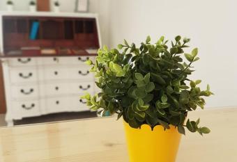 JACOB S HOSTEL TUI allows 18 year olds to book a room