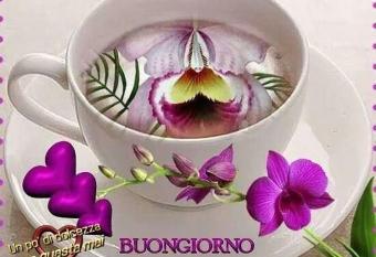 Casa delle orchidee has Balcony rooms