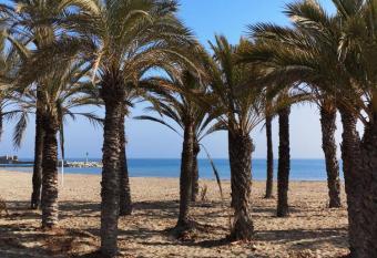 Apartamentos Hawaii - Parking y 50 mt del Arenal has Balcony rooms