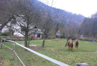 Apartments Gubanec has Balcony rooms