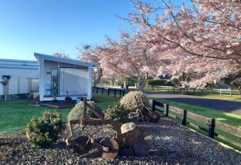 Denchys B&B allows 18 year olds to book a room