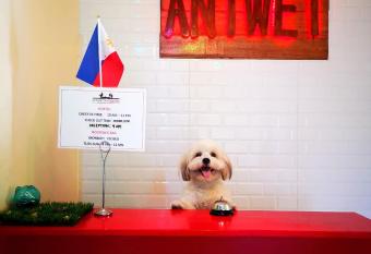 Antwet Backpacker s Inn & Rooftop Bar allows 18 year olds to book a room