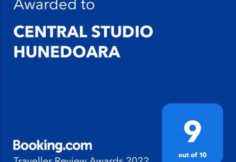 CENTRAL STUDIO HUNEDOARA allows 18 year olds to book a room