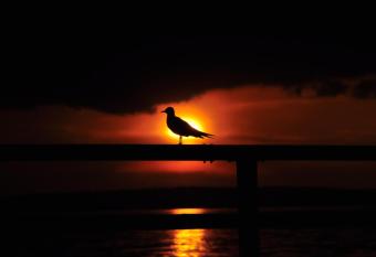 Julchen has Balcony rooms