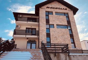 Pensiunea Magnolia has rooms with a private hot tub