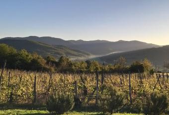 Agriturismo La Casaccia has Balcony rooms