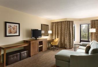 Hampton Inn & Suites Tarpon Springs has rooms with a private hot tub