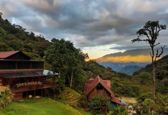 TREE TREK BOQUETE Adventure Park allows 18 year olds to book a room