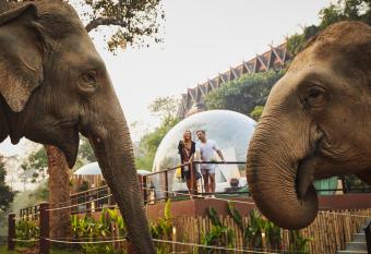 Anantara Golden Triangle Elephant Camp & Resort has Balcony rooms