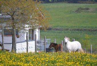 G  tes & Tiny houses Les Hauts de Toulvern has Balcony rooms