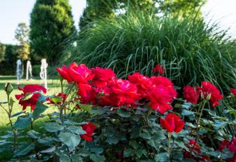 La Casa di Linda has Balcony rooms