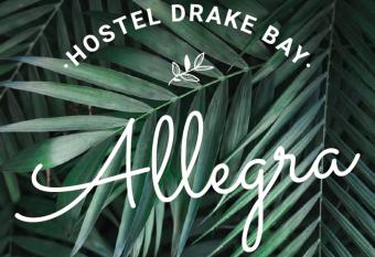 Allegra Hostel has Balcony rooms