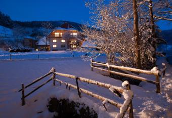 Sch  tzlehof has Balcony rooms