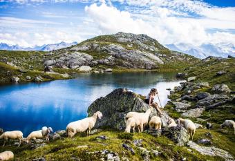 Landhaus Tuxerschafer has Balcony rooms
