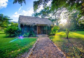 Bocawina Rainforest Resort has Balcony rooms