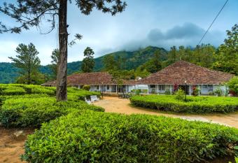 Zostel Plus Wayanad allows 18 year olds to book a room