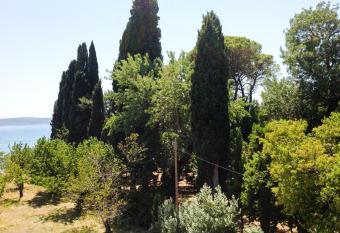 Palmaja allows 18 year olds to book a room