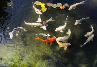 My Big Art Project has Balcony rooms