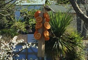 Union Street Hideaway has Balcony rooms