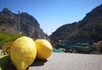 Fior d Arancio has Balcony rooms