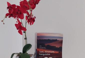 Orchidea Veszpr  m Apartman allows 18 year olds to book a room