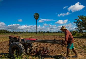 Chansor Community Homestay 17 allows 18 year olds to book a room