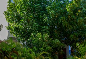 THE KING APARTMENT has Balcony rooms