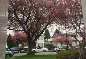 Sun House allows 18 year olds to book a room