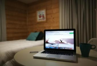 L Appart h  tel du Pic allows 18 year olds to book a room