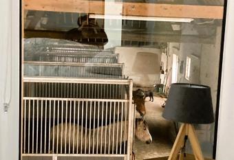 Le Clos de l Angley G  tes et   curie has Balcony rooms