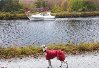 Birch Lodge allows 18 year olds to book a room