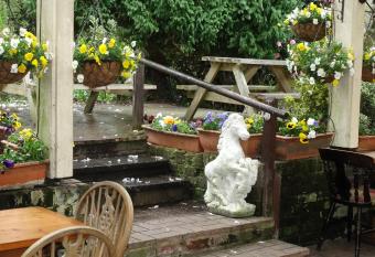 The New Forest Inn allows 18 year olds to book a room