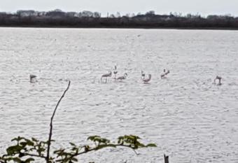 Maddy Appartamento has Balcony rooms