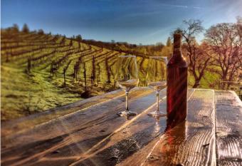 Papillon Cellars - The Loft allows 18 year olds to book a room