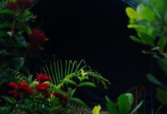 Beyond Community has Balcony rooms