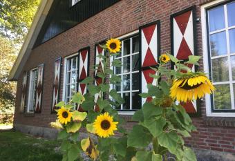 Erve Het Roolvink Boerderij Appartementen 40-50 M2 has Balcony rooms