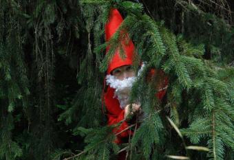 Hotel da Barba B&B allows 18 year olds to book a room