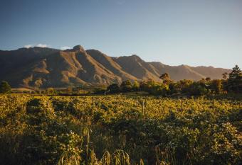 Wildebraam Berry Estate has Balcony rooms