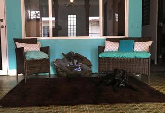 MEDUSA S HOSTEL allows 18 year olds to book a room