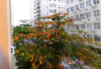 Flat da Danda has Smoking rooms