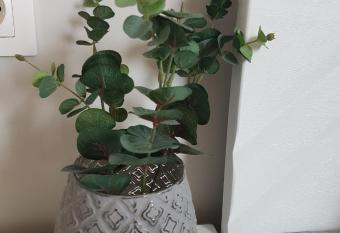 High Vision allows 18 year olds to book a room